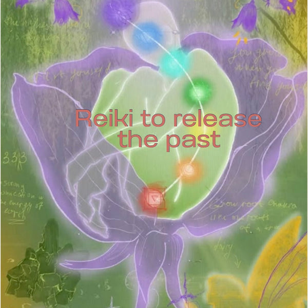 Soin Reiki/Reiki Healing  (45 min)