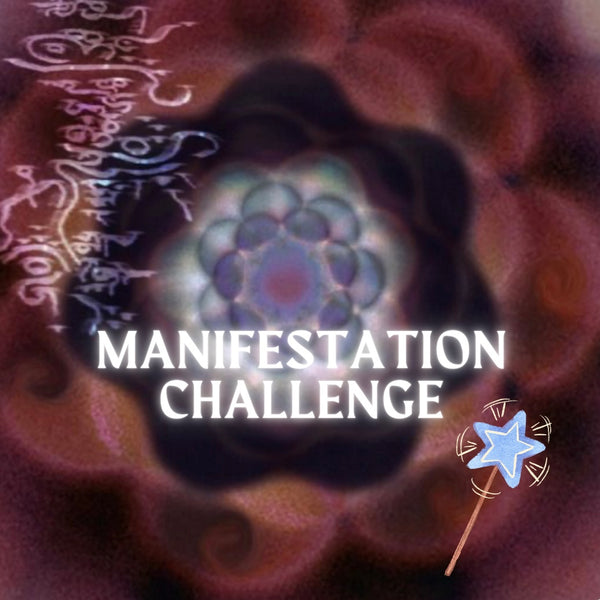 Manifestation Challenge