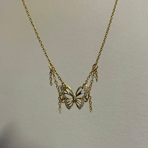 Papillon