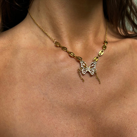 Papillon #2