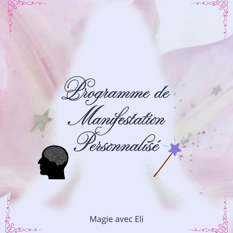 Programme de Manifestation Personnalisé