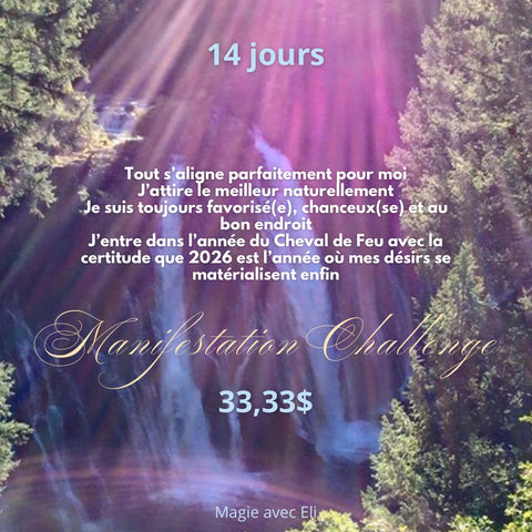 Manifestation Challenge (février 2026)