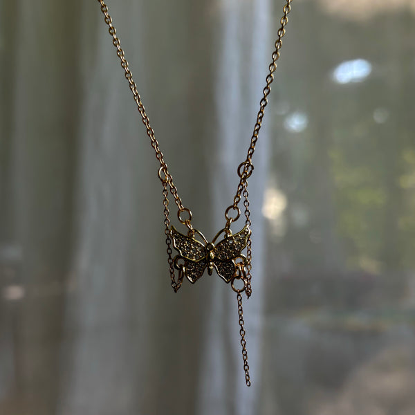 Papillon