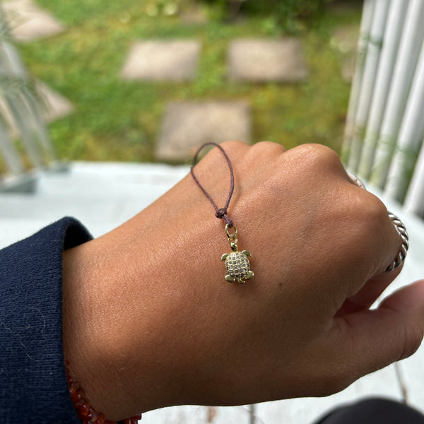 Turtle Necklace
