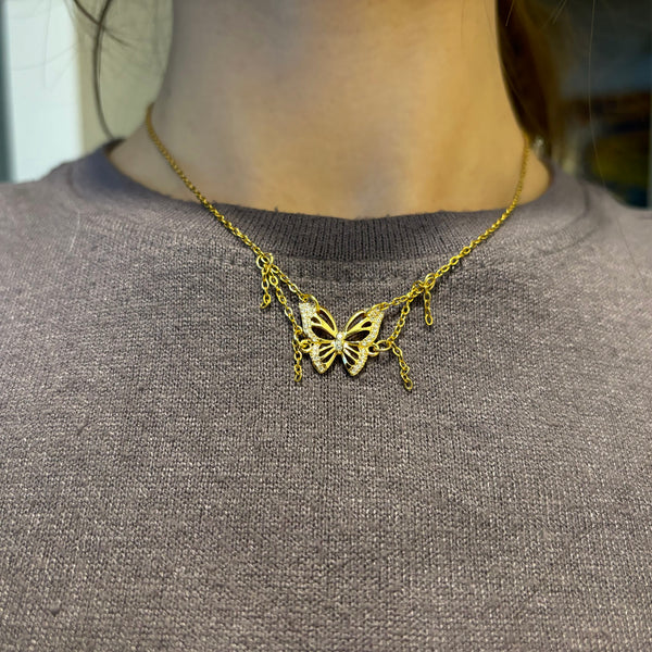 Papillon