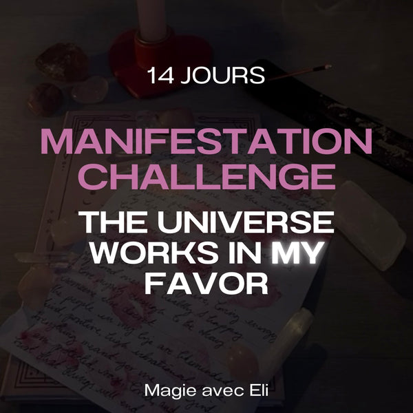 Manifestation Challenge -The Universe works in my Favor