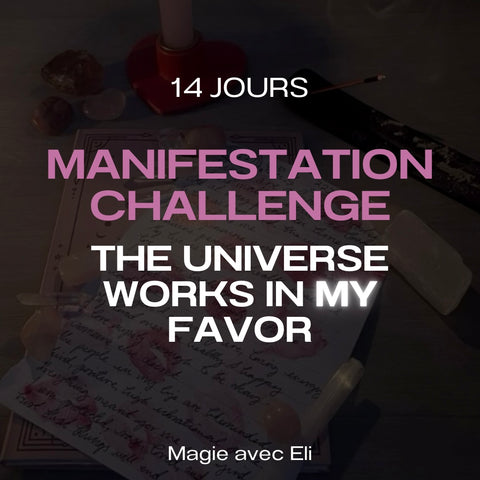 14 Jours Challenge Manifestation (PDF)