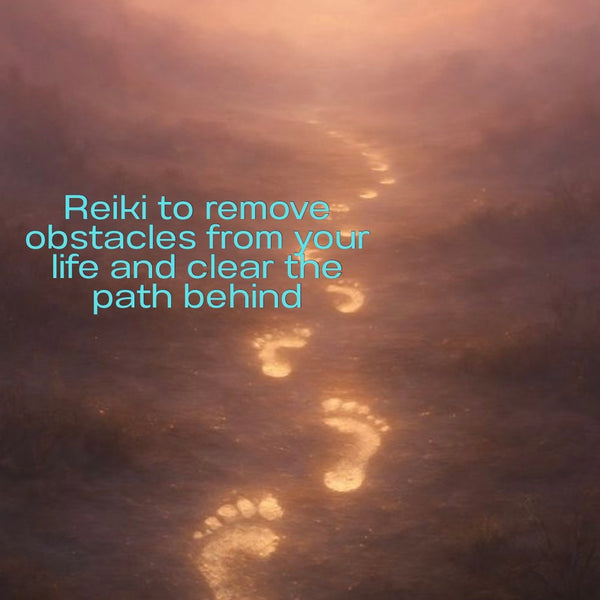 Soin Reiki/Reiki Healing  (45 min)