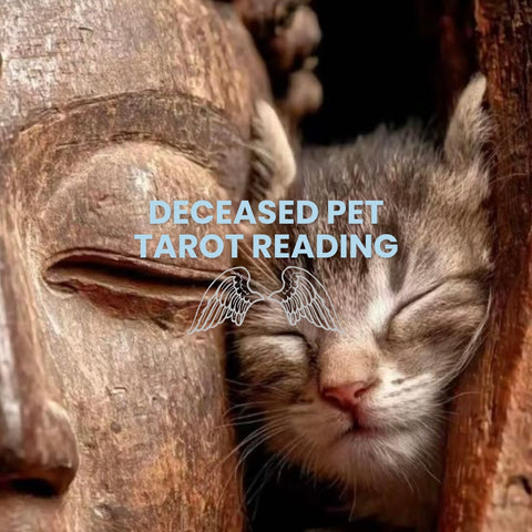 Deceased Pet Tarot Reading🪽