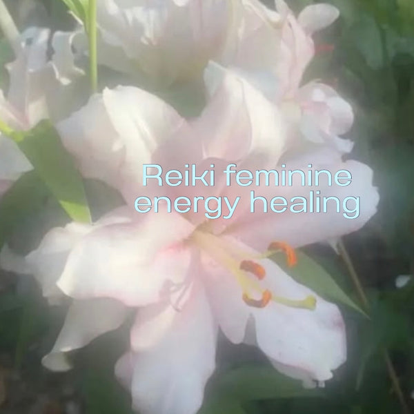 Soin Reiki/Reiki Healing  (45 min)