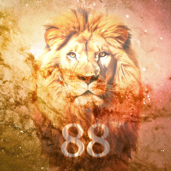 Miracle Candle Lion’s Gate Portal♾️💰🦁 attire l’argent & le succès