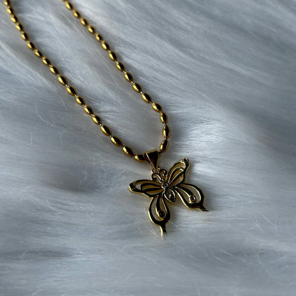 Butterfly