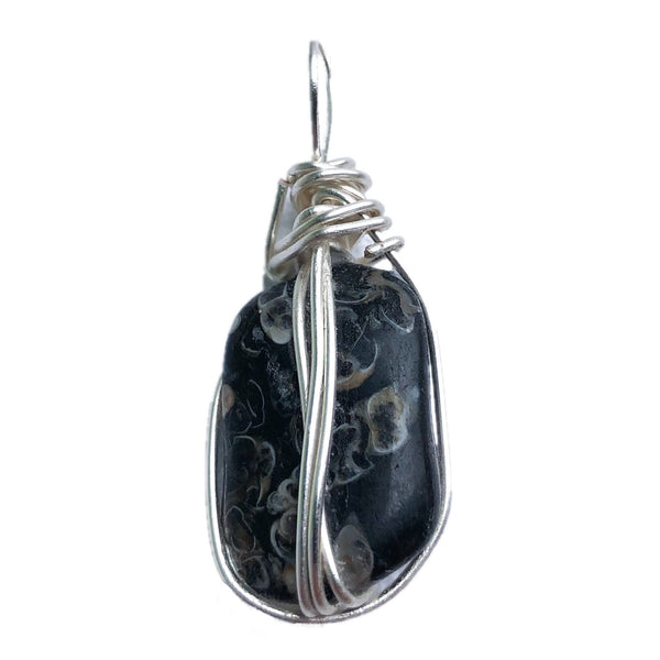 Turritella Agate
