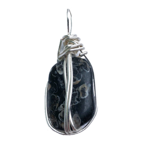 Turritella Agate