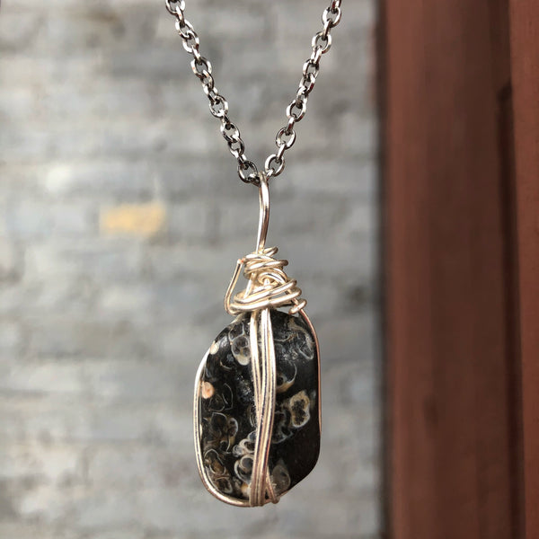 Turritella Agate