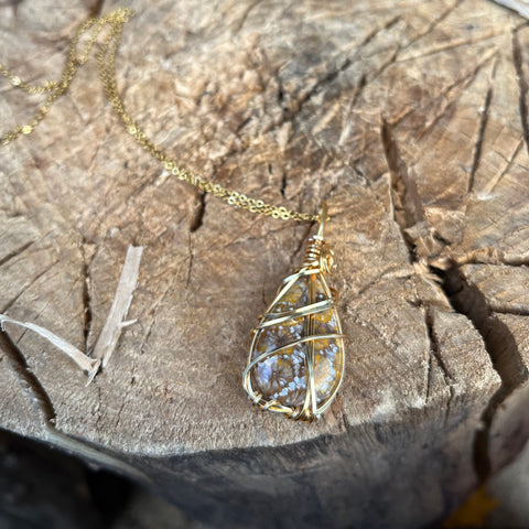 Fossil Coral Necklace